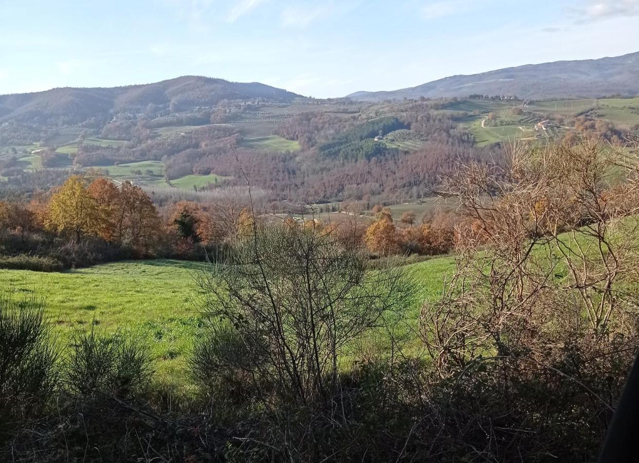 B&B Casale Ormano San Venanzo Dış mekan fotoğraf