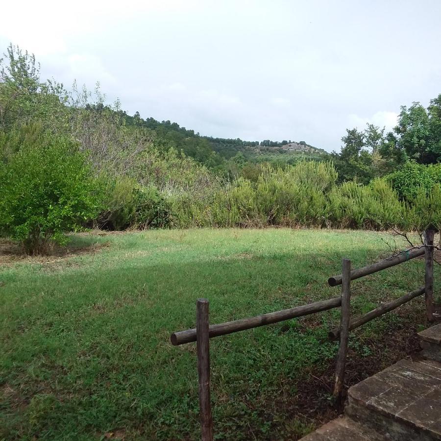 B&B Casale Ormano San Venanzo Dış mekan fotoğraf