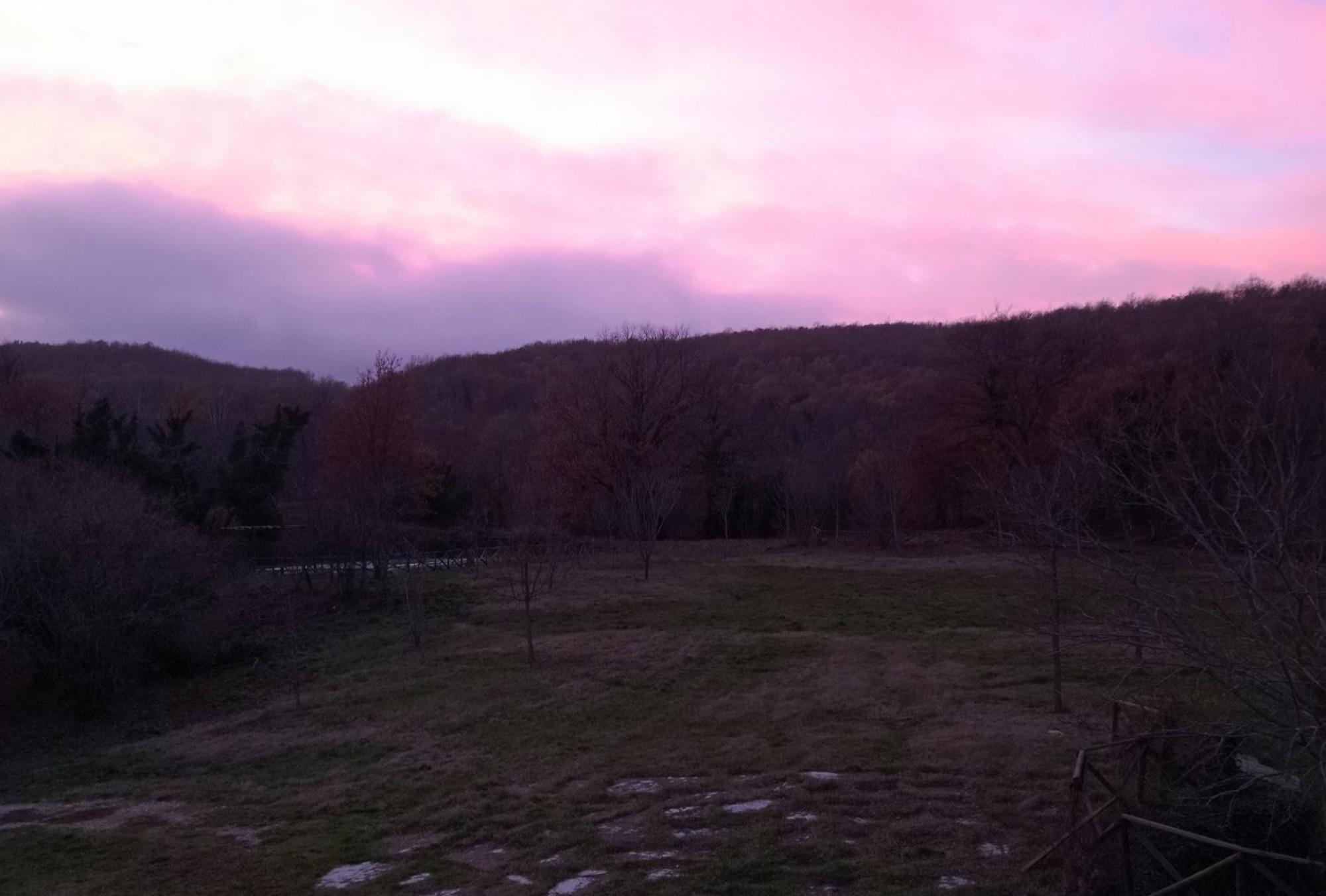 B&B Casale Ormano San Venanzo Dış mekan fotoğraf